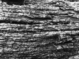 Old Dark Rough rustic wooden textured background square monochrome