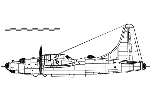Consolidated B-32 Dominator. Vector drawing of WW2 heavy bomber. Side view. Image for illustration and infographics.