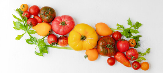assortment of bright, ripe, multi-colored tomatoes, on a white worn background. the view from the top. concept of the harvest season