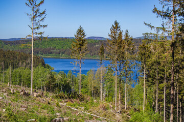 view of Granestausee reservoir with partly deforestation in the front, Harz Mountains National Park, Germany