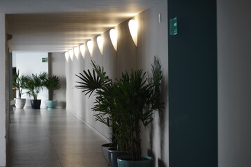 pasillo interior moderno y minimalista
