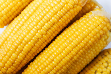 Boiled corn close up. Grains of sweet juicy corn. Cobs of boiled corn on a plate. Sweet corn. Healthy grains. Vegetarian food. A delicacy for children.