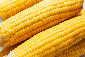 Boiled corn close up. Grains of sweet juicy corn. Cobs of boiled corn on a plate. Sweet corn. Healthy grains. Vegetarian food. A delicacy for children.