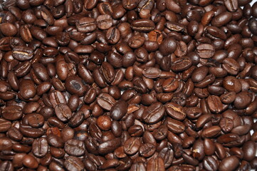 Close up beans on a white background. Coffee on the entire screen for the background. Roasted coffee beans brown. Lots of coffee in high definition