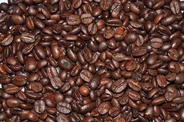 coffee beans background. Roasted brown. Lots of in high definition. Espresso, break. Coffee the entire screen