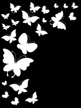 Vector illustration of isolated white insect various shapes on a black background for coloring, decoration, print etc.