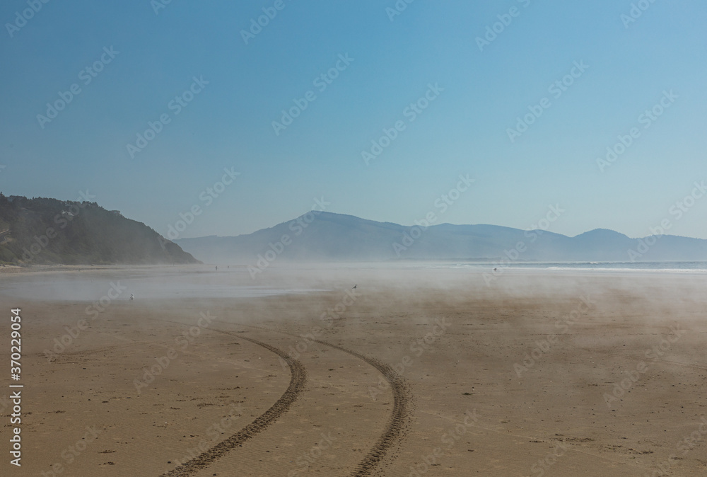 Wall mural vehicle tracks lead into low fog that hangs over a sandy beach on a sunny day in oregon