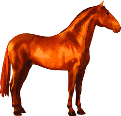 a beautiful Spanish horse stands still, isolated vector realistic image on a white and colored background