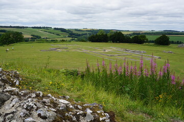 landscape with river