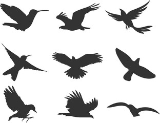 Collection of flying birds silhouettes in various poses and shapes