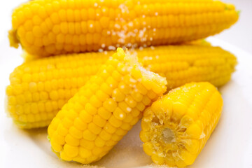 boiled sweet corn on a white plate. corn with sugar.