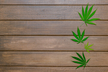 Hemp or cannabis leaf isolated on wooden background. Alternative medicine. Vegetarian food concept. Natural product concept.