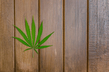 Hemp or cannabis leaf isolated on wooden background. Alternative medicine. Vegetarian food concept....