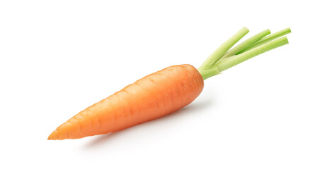 Carrot vegetable isolated on white