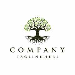 Abstract Vibrant Oak Banyan tree logo design, tree and root vector. Tree of life logo design inspiration