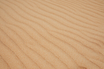 Fototapeta na wymiar Desert or beach dunes wallpaper.