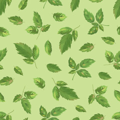 Organic collection. Vector raspberry leaves seamless pattern on a light green background
