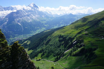 mountain landscape in summer