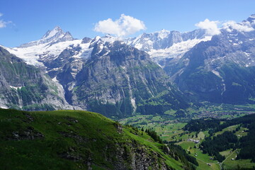 Fototapeta na wymiar swiss alps in the alps