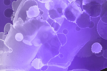 Hand-painted alcohol ink background. Abstract delicate violet texture. Contemporary feminine wallpaper. 