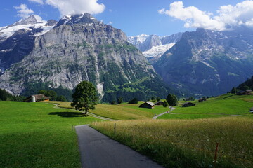 Fototapeta premium swiss alps in the alps