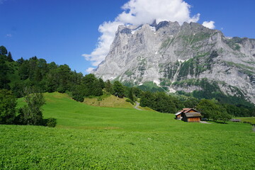 swiss mountain landscape