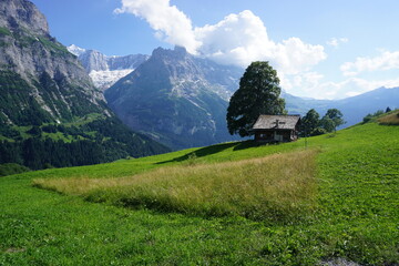 landscape in the mountains