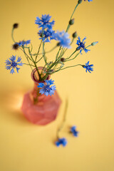 selective focus. Glass vase with beautiful wildflowers on a .yellow background. Cornflowers top view. copy space