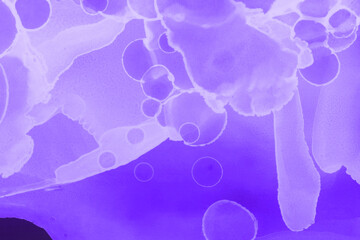 Hand-painted alcohol ink background. Abstract delicate violet texture. Contemporary feminine wallpaper. 