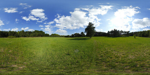 Fresh green foliage HDRI Panorama