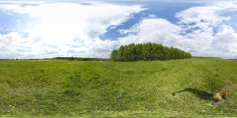 Obraz premium Grass fields HDRI Panorama