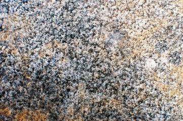 Naklejka premium Designed grunge texture and grunge background. Close up macro in soft focus.
