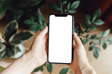 Mockup image of hand holding white mobile phone with blank white screen. Against the background of the floor on which there are indoor plants.