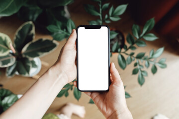 Smartphone in men's hands with a blank white screen for advertising. Mockup image of a mobile phone. Against the background of the floor with indoor plants.