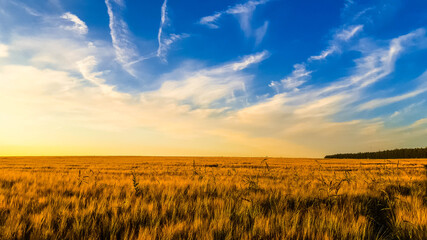 At the edge of the universe