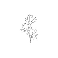 Fototapeta na wymiar Simple and clean hand drawn floral. Sketch style botanical illustration. Great for invitation, greeting card, packages, wrapping, etc. 