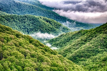 foggy morning in blue ridge mountains picnic area
