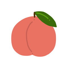 桃の手書きカラーイラスト peach flat illustration vector icon