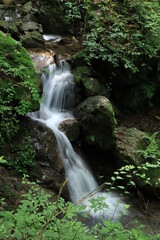 Natural landscape in mitake mountain , japan ,tokyo