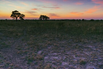 atardecer de campo con el sol ya puesto en horizonte