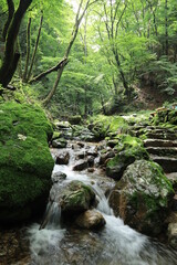 Natural landscape in mitake mountain , japan ,tokyo