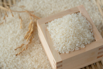 米　クローズアップ