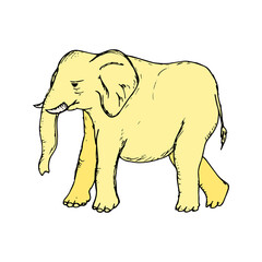 Elephant hand drawn icon vector