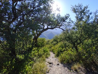 Obraz premium beautiful landscape of the mountains in cordoba argentina 