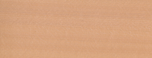 Wood Texture Beech Background - obrazy, fototapety, plakaty