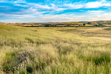 magical wheat farm fields in palouse washington