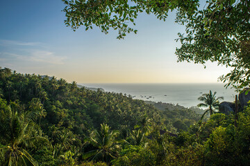 Fototapeta na wymiar Jungle island sea view