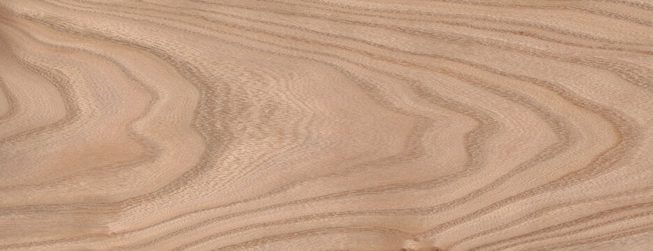 Red Elm Wood Grain Texture Background