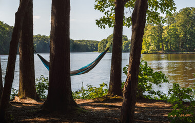 Hammock tied to trees by the lake on a summer day