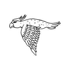 Parrot hand drawn icon